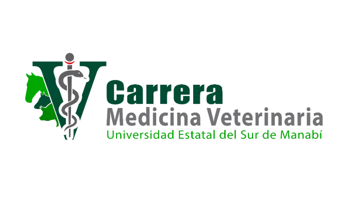 Logo organizador